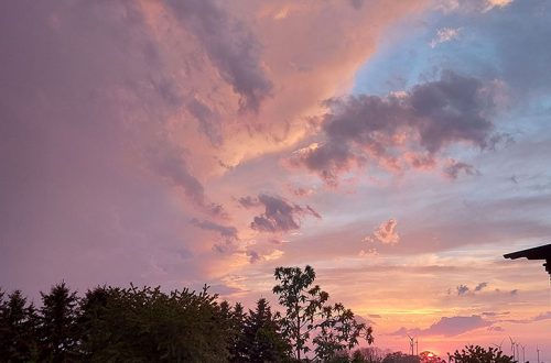 Geschichten aus dem Alltag - Gewitter und Erdbeeren