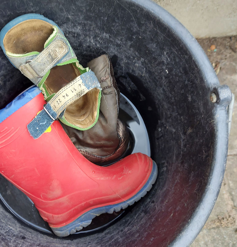 Geschichten aus dem Alltag - Schuhe ins Hundewasser