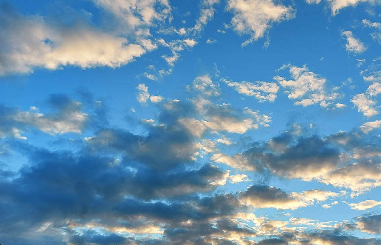 Geschichten aus dem Alltag - Wolkentiere